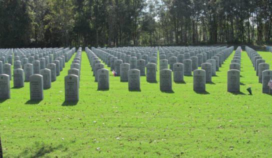 Sumter County Preservation Society Plans To Discover And Rebuild Local Cemeteries