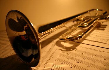 Villager Plays the Trumpet in Different States Thanks to Technology