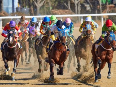 Villagers Have Partnership in Horse Racing