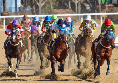 Villagers Have Partnership in Horse Racing
