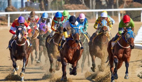 Villagers Have Partnership in Horse Racing