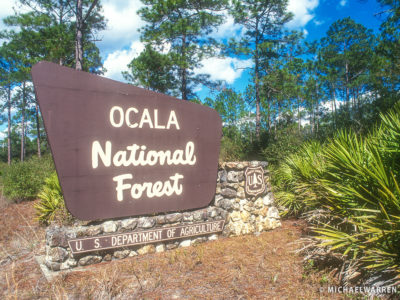 Project SOS Scholarships to Kids in the Ocala National Forest