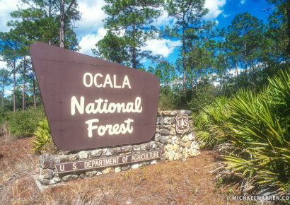 Project SOS Scholarships to Kids in the Ocala National Forest