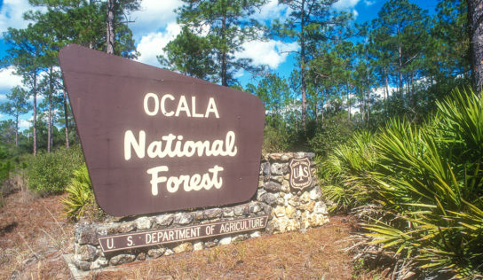 Project SOS Scholarships to Kids in the Ocala National Forest