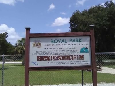 Shooting at Royal Park