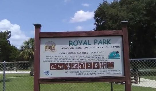 Shooting at Royal Park