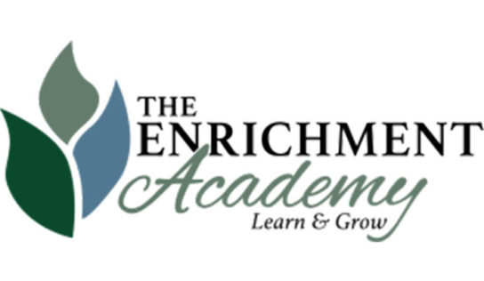 The Enrichment Academy: The Spies Next Door