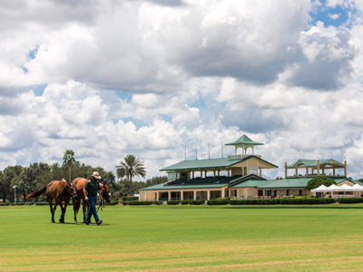 Tailgating at The Villages Polo Fields