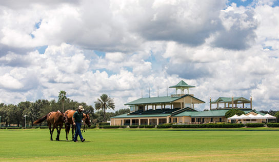 Tailgating at The Villages Polo Fields