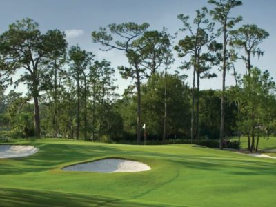 Saddlebrook Executive Golf Course Closed for Maintenance