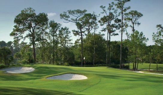 Saddlebrook Executive Golf Course Closed for Maintenance