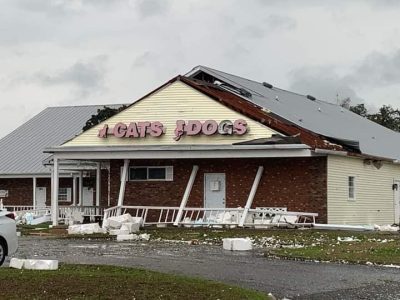 Tornado in Ocala