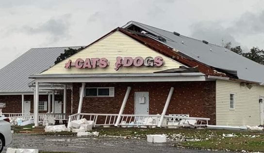 Tornado in Ocala