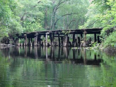 Withlacoochee River Response