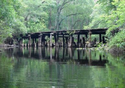 Withlacoochee River Response