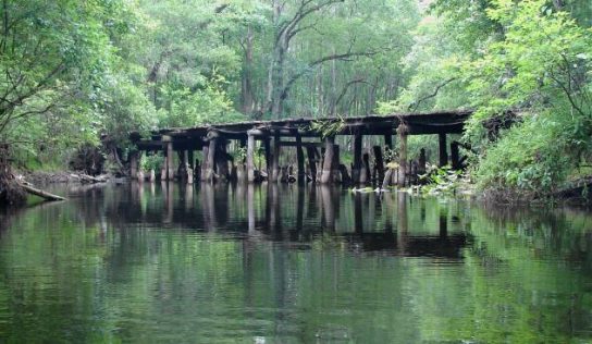 Withlacoochee River Response