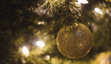 Town Square Tree Lighting Information
