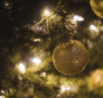 Town Square Tree Lighting Information