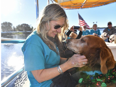 Therapy dogs cruise on Lake Sumter