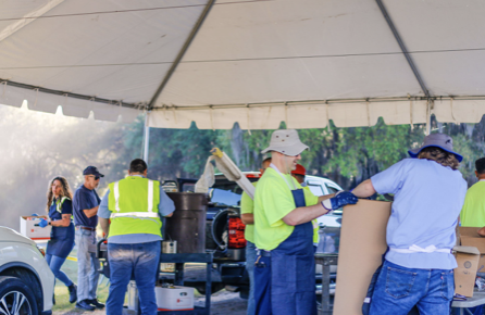 Amnesty Day for collection of hazardous waste set