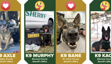 The K9 March Madness Tournament moves on to round 2