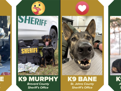 The K9 March Madness Tournament moves on to round 2