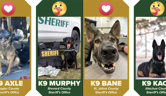 The K9 March Madness Tournament moves on to round 2