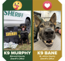 The K9 March Madness Tournament moves on to round 2