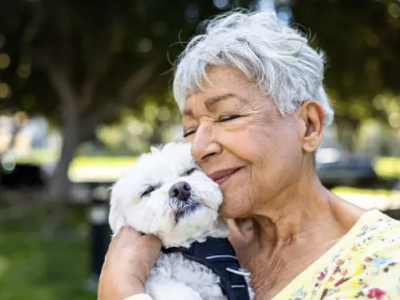 Sumter County warns of positive parvovirus cases in nearby counties