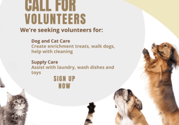 Sumter County Animal Services looking for volunteers