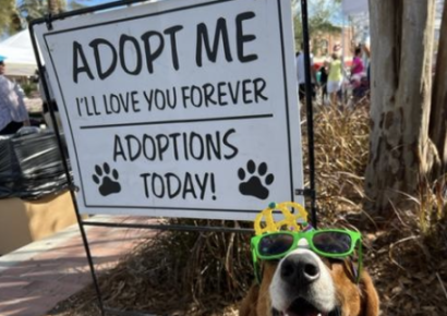 Several pets adopted during Clear the Shelter event