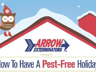 Keep Your Holidays Pest-Free This Year