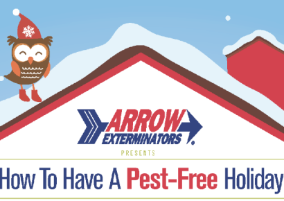 Keep Your Holidays Pest-Free This Year