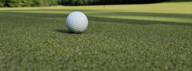 USGA details issues facing golf course conditions